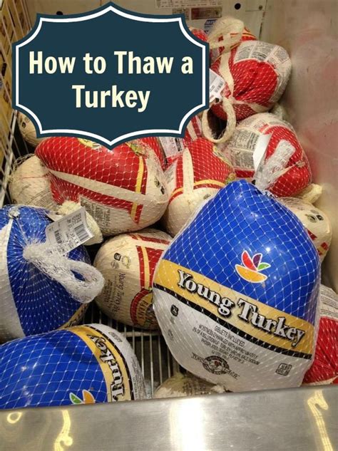 holiday food safety how to thaw a turkey food safety