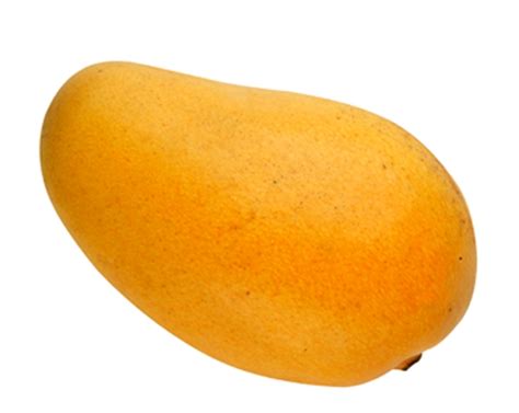 calories   mango  health guide