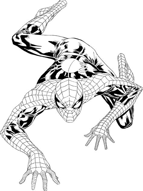 printable spiderman coloring sheets minimalist blank printable