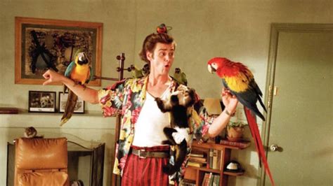 alrighty facts  ace ventura pet detective mental floss