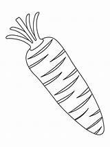 Carrot Coloring Pages Vegetable Kids Vegetables Outline Radish Printable Color Preschoolers Basket Drawing Colouring Fruit Carrots Colour Getcolorings Getdrawings Recommended sketch template