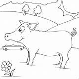 Pig Coloring Pages Printable Animal Fat Cute Books Print Food Kids Simple sketch template