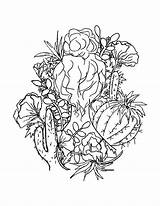 Coloring Succulent Pages Floral Getdrawings Getcolorings sketch template