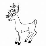 Reindeer Coloring Pages Printable Kids Cartoon Print Colouring Christmas Popular Library Clipart Coloringkids sketch template