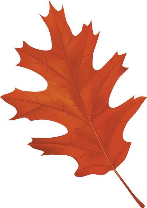 autumn leaf images clipart