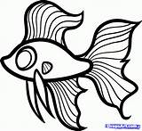 Fish Drawing Betta Draw Kids Step Beta Clipart Coloring Fighting Drawings Clip Pages Cliparts Cartoon Hellokids Sketches Simple Line Gif sketch template