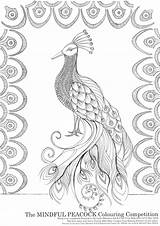 Peacock Colouring Competition Craft Mindful Fair sketch template