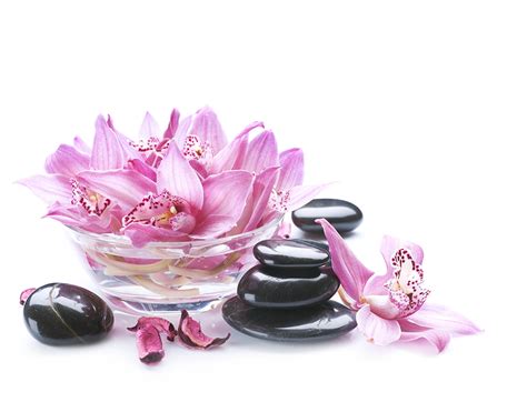 images spa orchid flowers stone