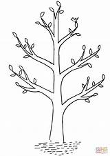 Arbol Drzewo Kolorowanka Wiosenne Albero Kolorowanki Wiosna árbol Druku Negro Wydruku Trees Supercoloring Drukuj Kategorii sketch template