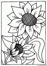 Floarea Soarelui Colorat Tournesol Girasoli Coloriage Girasoles Sunflower Girasol Pintar Fleurs Girasole Bordar Planse Riscos Disegno Colorare Soare Decupat Ludinet sketch template