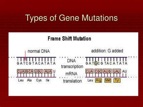 ppt mutations powerpoint presentation free download id 3259892