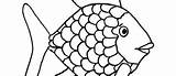 Fish Scales Coloring Pages Template Drawing sketch template