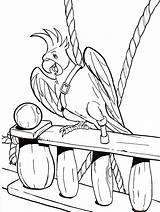 Parrot Papagei Ausmalbilder Piratin Malvorlagen Ausdrucken sketch template
