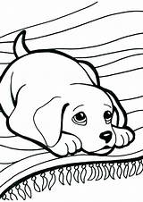 Coloring Pages Labrador Kitten Print Puppy Printable Getcolorings Dog Puppies Kittens Color Dogs Book Getdrawings sketch template