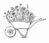 Wheelbarrow Drawing Flower Drawings Meadow Paintingvalley sketch template