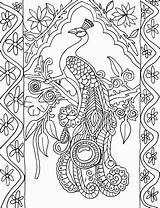 Coloring Peacock Pages Adult Library Clipart Sheet sketch template