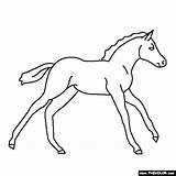 Horse Baby Coloring Pages Horses Animals Pony Color Online Thecolor Others Choose Board Babies Popular Ai sketch template