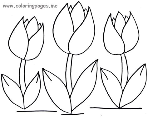 tulip coloring pages print color craft