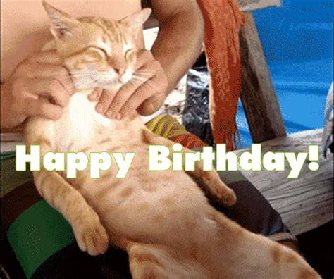 Funny Birthday Wishes For Friend Animated  Images
