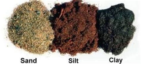 importance  knowing  types  soil dengarden