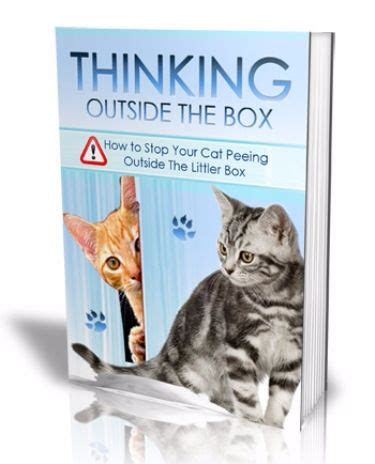 thinking   box  book