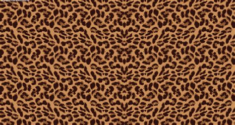 leopard background wallpapersafari