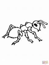 Ant Formica Hormigas Ameise Stitch Coloriage Realistica Formiche Imprimer Malvorlage Cicala Ameisen Ants Gratis Supercoloring Stampare Ausdrucken Ispirazione Stampabili Connect sketch template