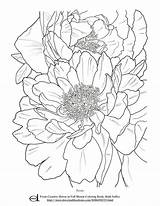 Coloring Pages Castell Faber Blank Flower Pencil Drawings Choose Board sketch template