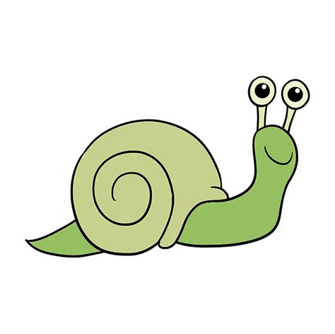 draw  snail  easy drawing tutoria