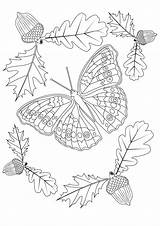 Automne Butterfly Papillon Insetti Autumn Insetos Butterflies Insectos Adulti Papillons Colorear Adulte Insectes Insects Justcolor Joli Igcse Coloriages Feuilles Enfants sketch template