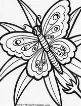 Summer Flowers Coloring Pages Printable Large Tsgos sketch template
