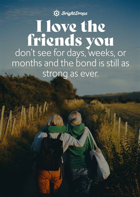 picture quotes  friendship
