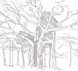 Banyan Treehouse sketch template