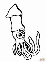 Squid Coloring Pages Giant Animal Minecraft European Color Drawing Printable Realistic Clipartpanda Getcolorings Clipart Book Print Presentations Websites Reports Powerpoint sketch template