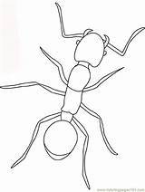 Insects Ant sketch template