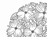 Dogwood Coloring Tree Getcolorings Illustration Color sketch template
