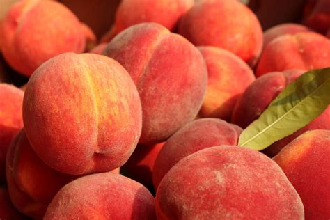 nutrition facts   calories   peach