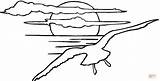 Tramonto Soleil Coucher Gaviota Gaviotas Paisajes Mewa Seagulls Kolorowanki Gabbiano Sol Mewy Sunsets Volando Słońca Zachód Kolorowanka Seagull Vogel Supercoloring sketch template