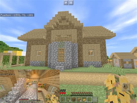 villager house