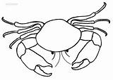 Crab Coloring Pages Printable Kids Drawing Hermit Cool2bkids Getdrawings Spider Line sketch template