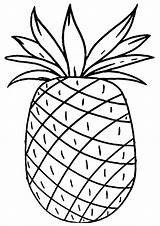 Pineapple Coloring Pages sketch template
