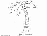 Tree Palm Coloring Pages Funny Printable Adults Kids sketch template