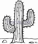 Cactus Drawing Desert Drawings Saguaro Line Coloring Outline Timtim Pages Clipart Climate Bw Nature Cowboy Kids Sahara Getdrawings Easy Category sketch template