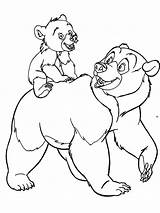 Coloring Pages Bear Brother Colouring Animal Recommended Choose Board sketch template