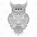 Owl Vector Choose Board Coloring Pages sketch template