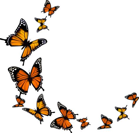 monarch butterfly butterfly png