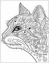 Coloring Stress Pages Relief Adults Printable Getcolorings Pattern Cat sketch template