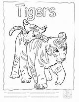Tiger Coloring Pages Baby Cute Tigers Lsu Bobcat Footprint Sheets Printable Kids Drawing Mother Colouring Color Cub Animals Print Cubs sketch template