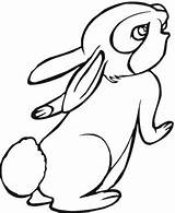 Conejos Colorat Desene Iepure Iepurasi Conejo Planse Konijn Kleurplaten Fise Iepuras Coelho Creion Sketsa Kelinci Easter Animale Kaninchen Animados Simplu sketch template