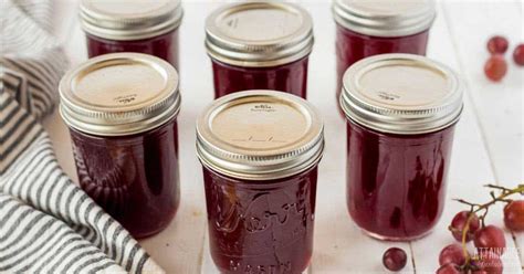 grape jelly recipe quick  easy   busy people